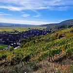 Entre Vignes Et Vergers Parenthese