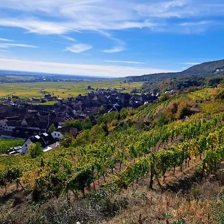 Entre Vignes Et Vergers Parenthese