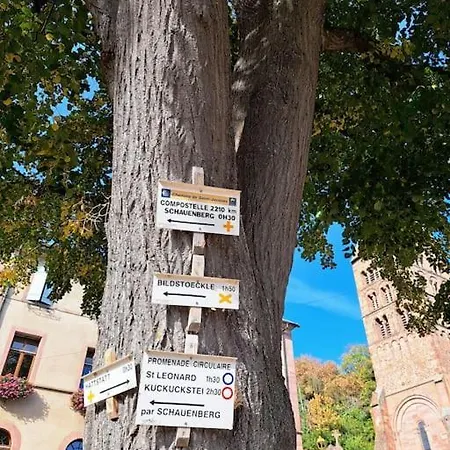 Apartamento Entre Vignes Et Vergers Parenthese Gueberschwihr